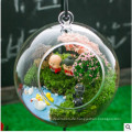 Glasflasche Terrarium Home Decor